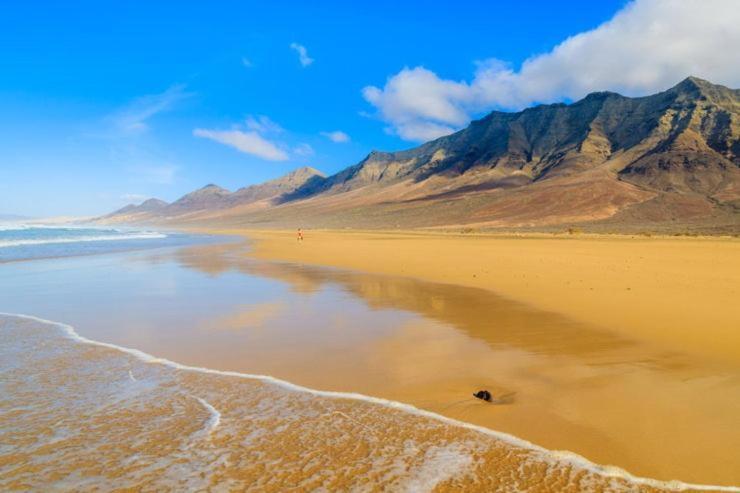 Canary Getaway Калета де Фусте Екстериор снимка